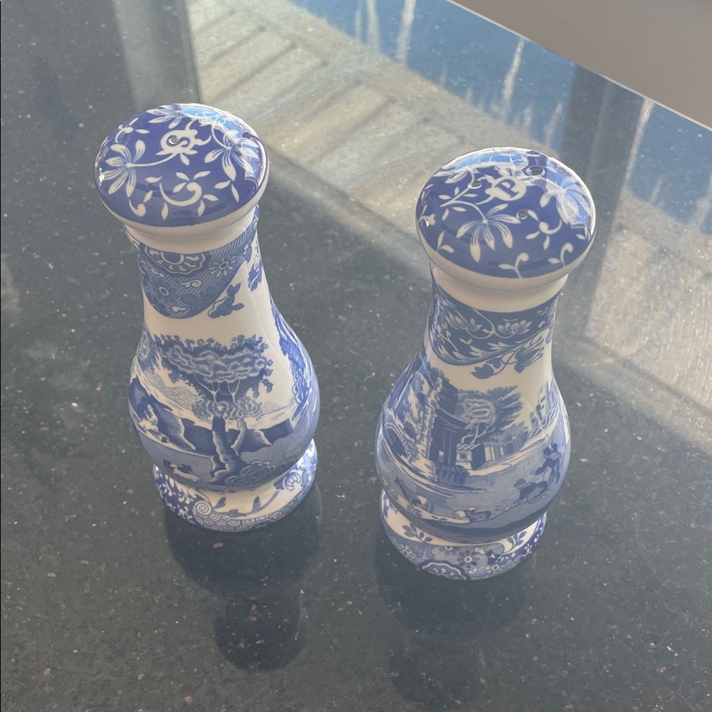 Large (6”) Spode Salt and Pepper Shaker Set